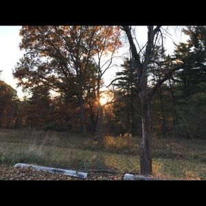 Meet your Posher, Breannah